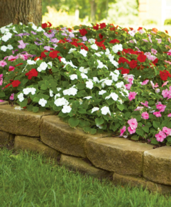 Miscellaneous Gardening