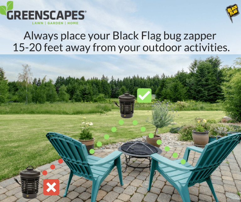 Bug Zapper Yard Placement Greenscapes